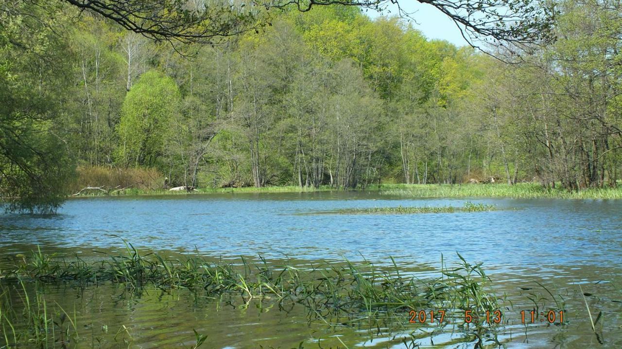 Kwatera Na Bagnach Osowiec  ภายนอก รูปภาพ