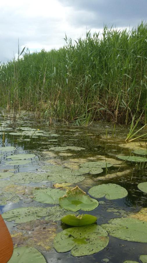 Kwatera Na Bagnach Osowiec  ภายนอก รูปภาพ